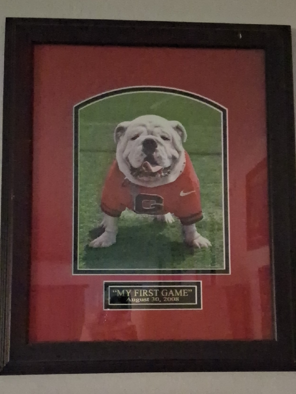 Georgia Bulldog Sports Print